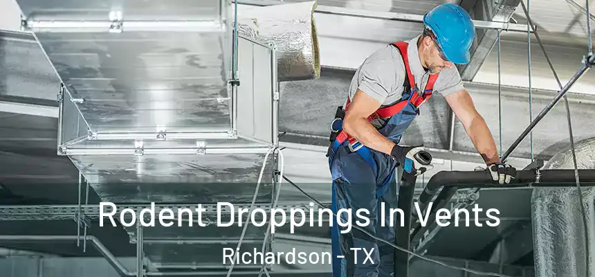  Rodent Droppings In Vents Richardson - TX